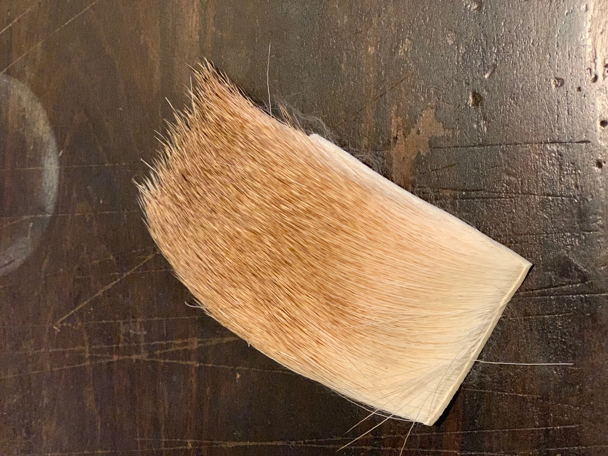 Bleached Coastal Deer Hair - Click Image to Close